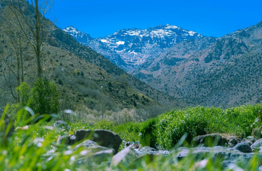 Imlil Valley Day Trip from Marrakech