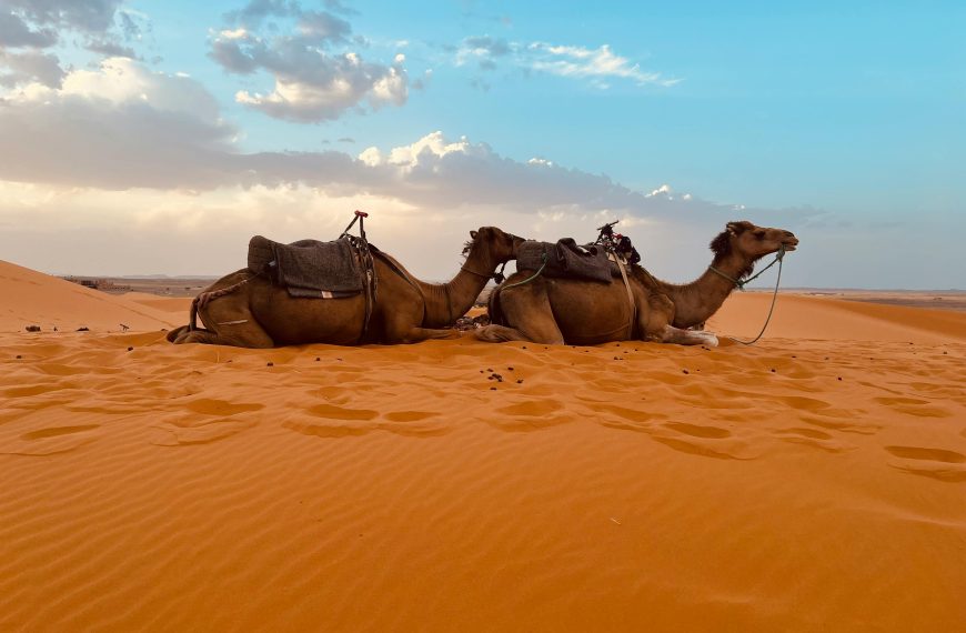 3 days Morocco tour from Fes to Marrakech