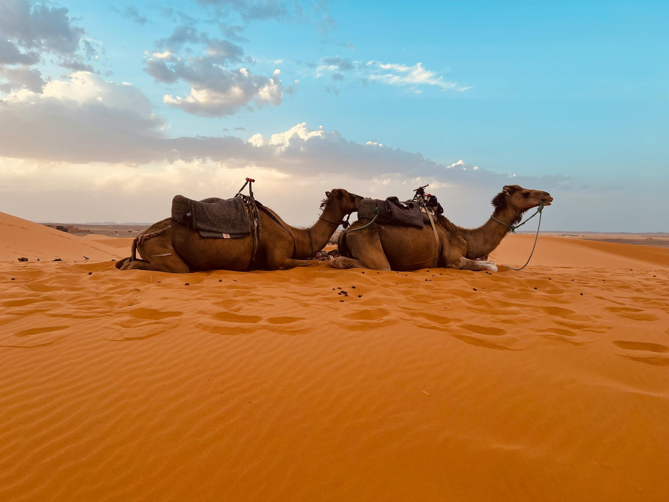 3 days Morocco tour from Fes to Marrakech
