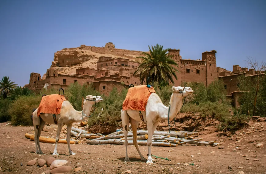 Ait Ben Haddou Day Trip from Marrakech