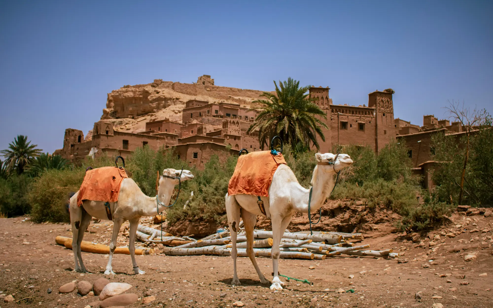Ait Ben Haddou Day Trip from Marrakech