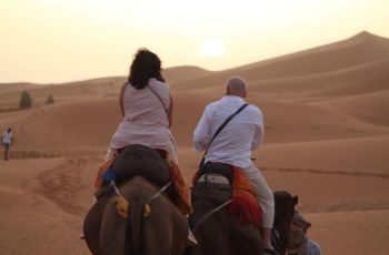 WhatsApp Image 2025-10-02 at 17.41.17